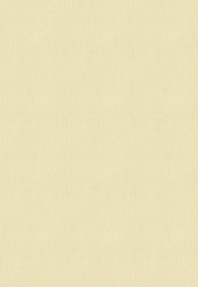 ZN004-2 (FILEminimizer).JPG